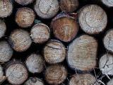 Holzverkauf - Brennholz-Lang und Flächenlose